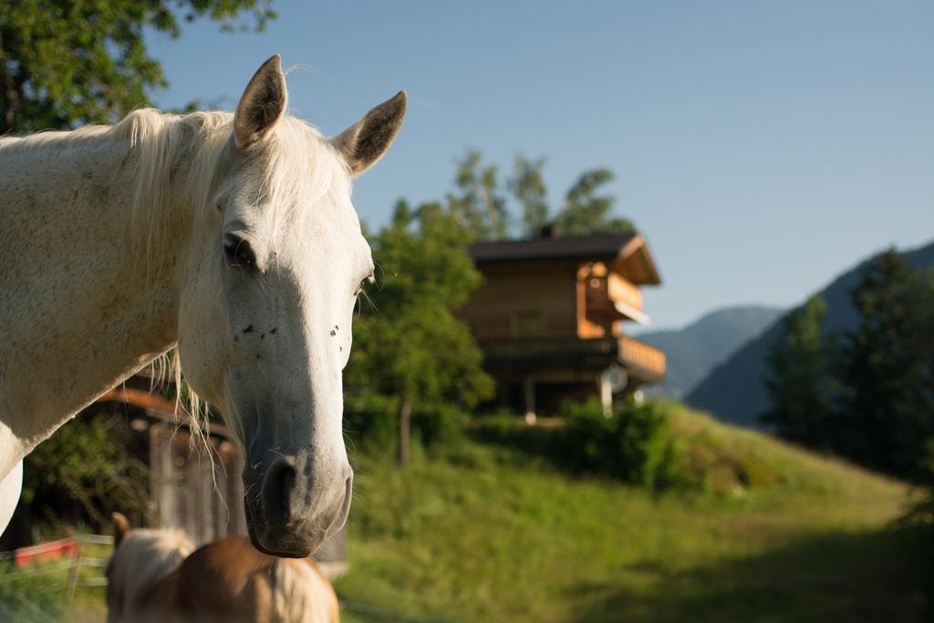 ホテル Ferienhaus Oetztal ザウテンス エクステリア 写真