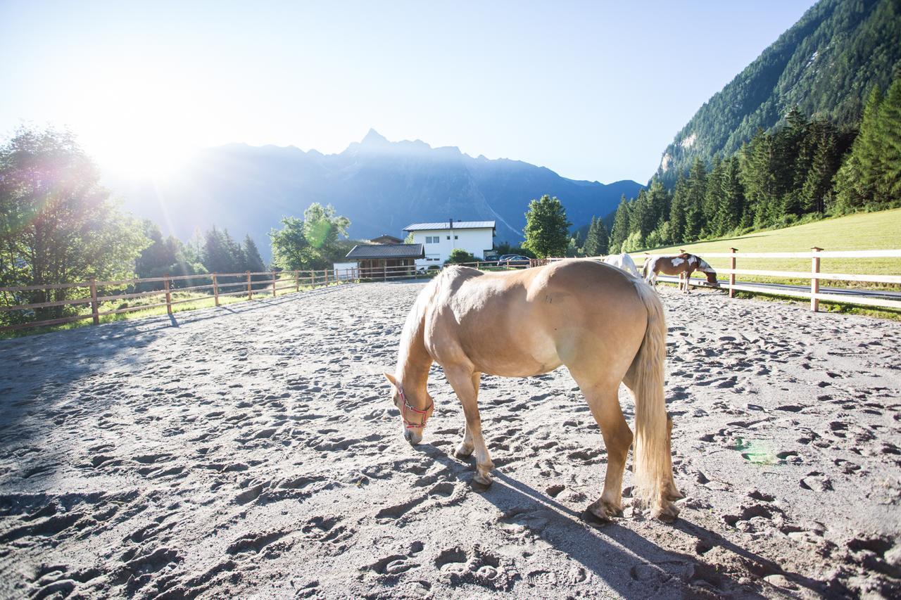 ホテル Ferienhaus Oetztal ザウテンス エクステリア 写真